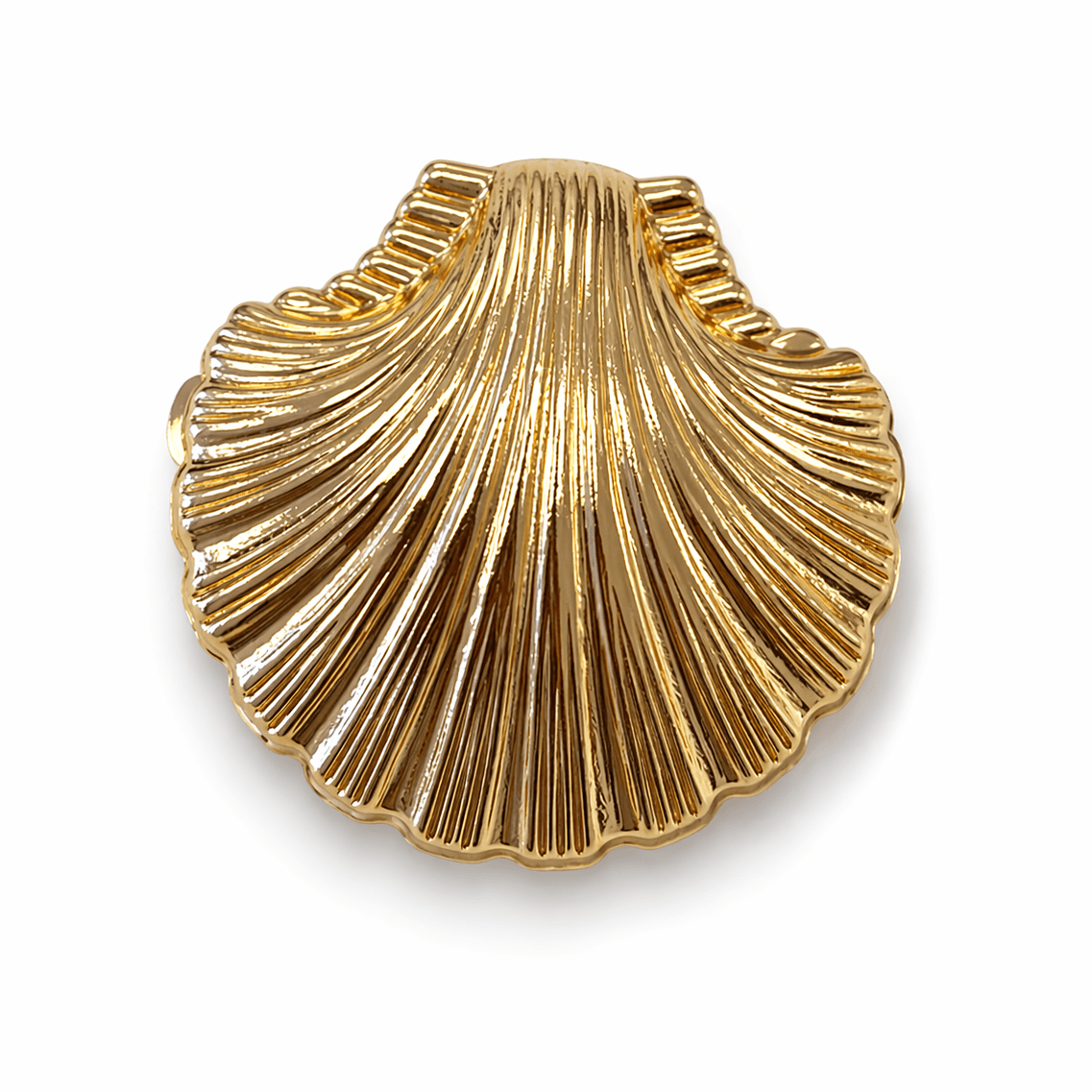Seashell Hair Clip - EVRYJEWELS