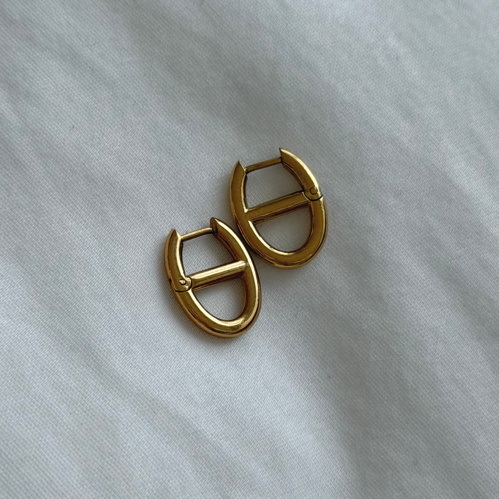 Dolce Iconic Hoop Earrings